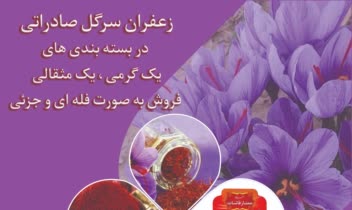 طراحی لوگوی ترنج برای یک پیج اینستاگرامی