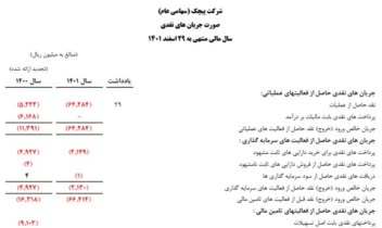 صورتهای مالی اساسی شرکت پیچک (سهامی عام)