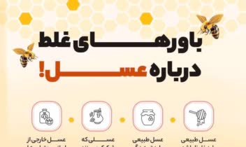 ساخت اینفوگرافی (اینفوگرافیک) حرفه ای