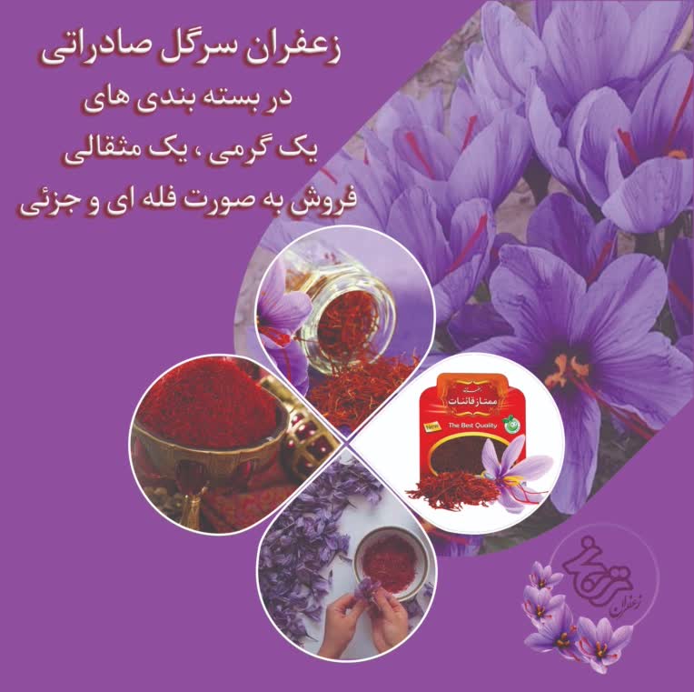 طراحی لوگوی ترنج برای یک پیج اینستاگرامی