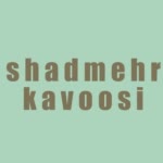 Shadmehr.K