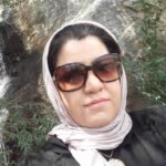 Vahideh.M